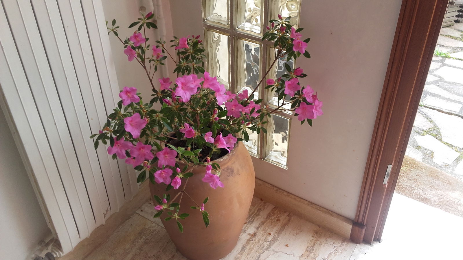 Homestay Bazainville 109491