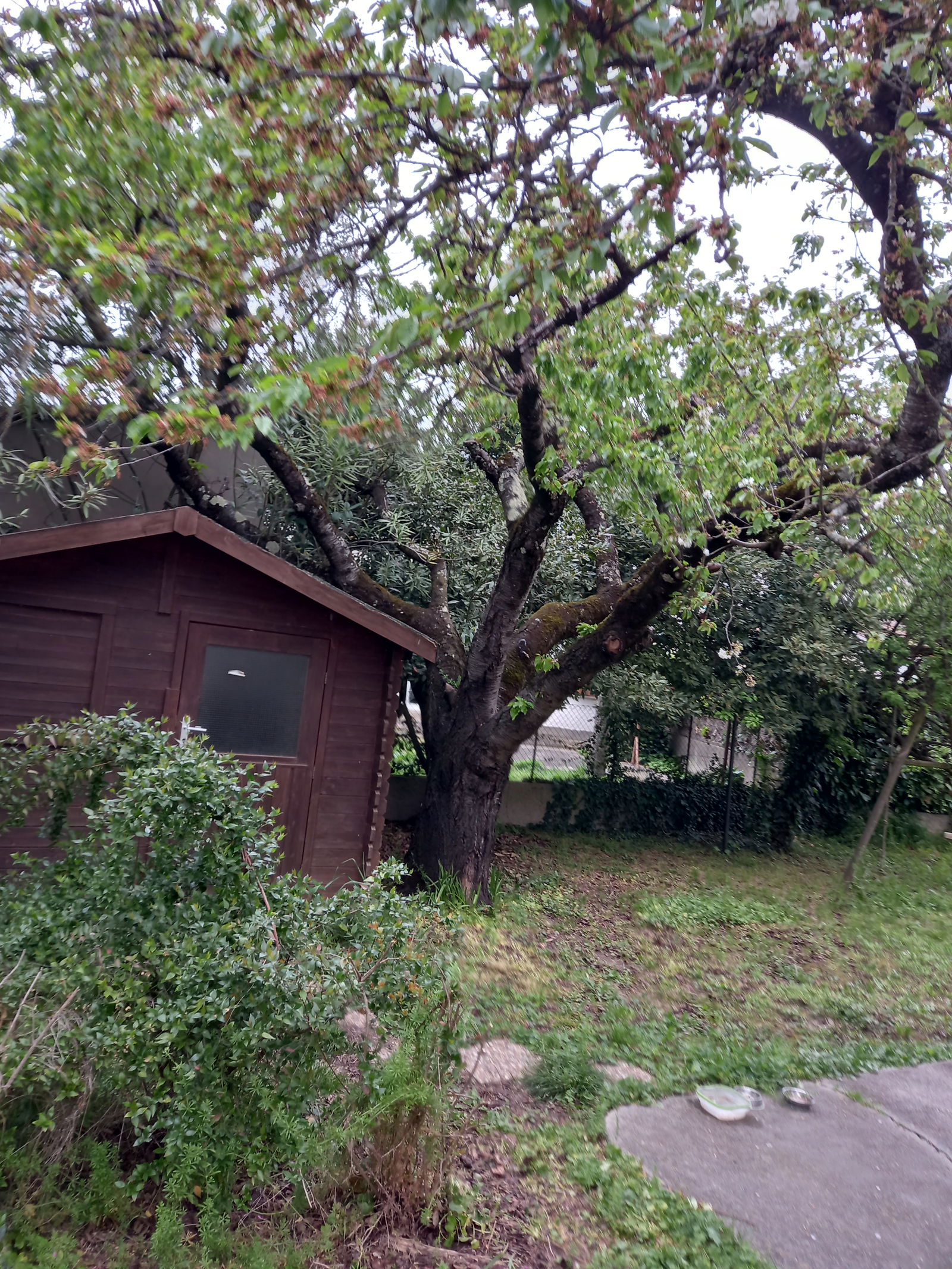 Homestay Carcassonne 433650