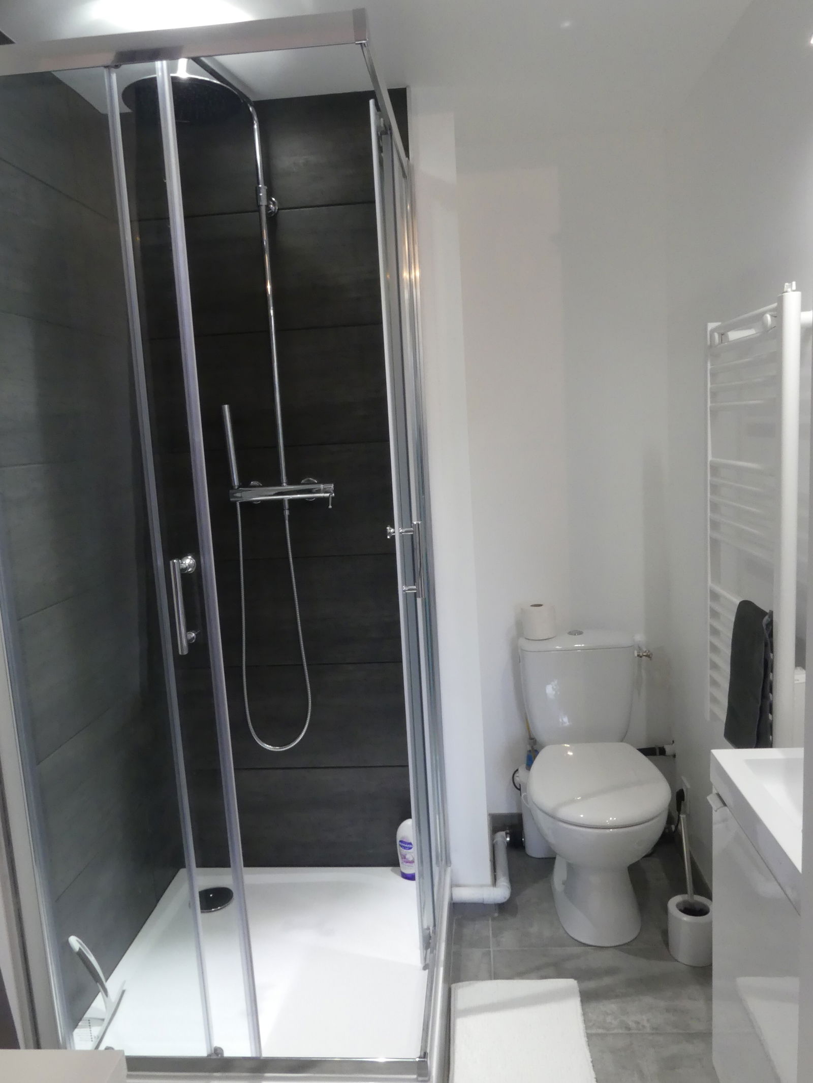 Colocation Toulouse 221503