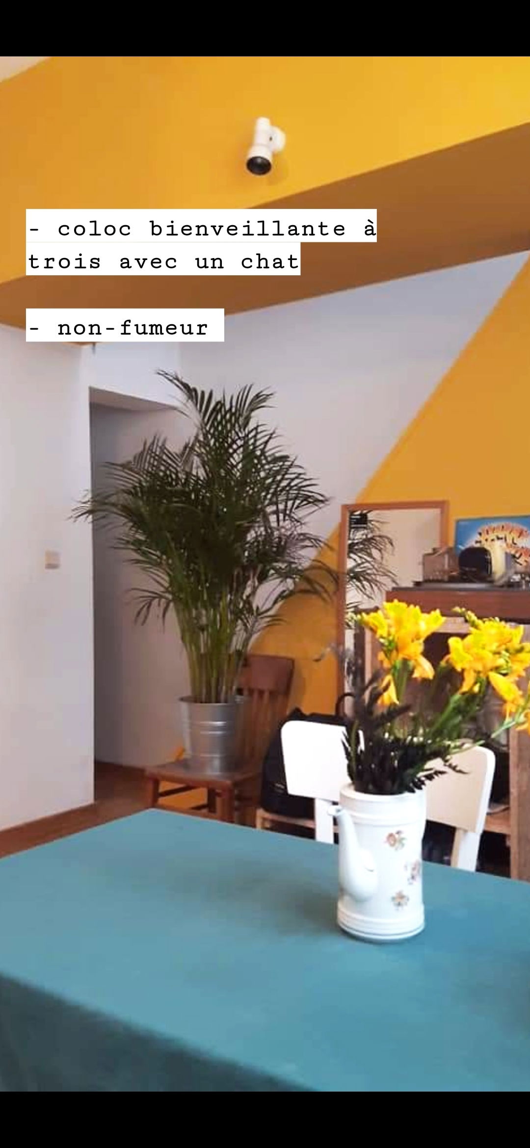 Colocation Luik 234514