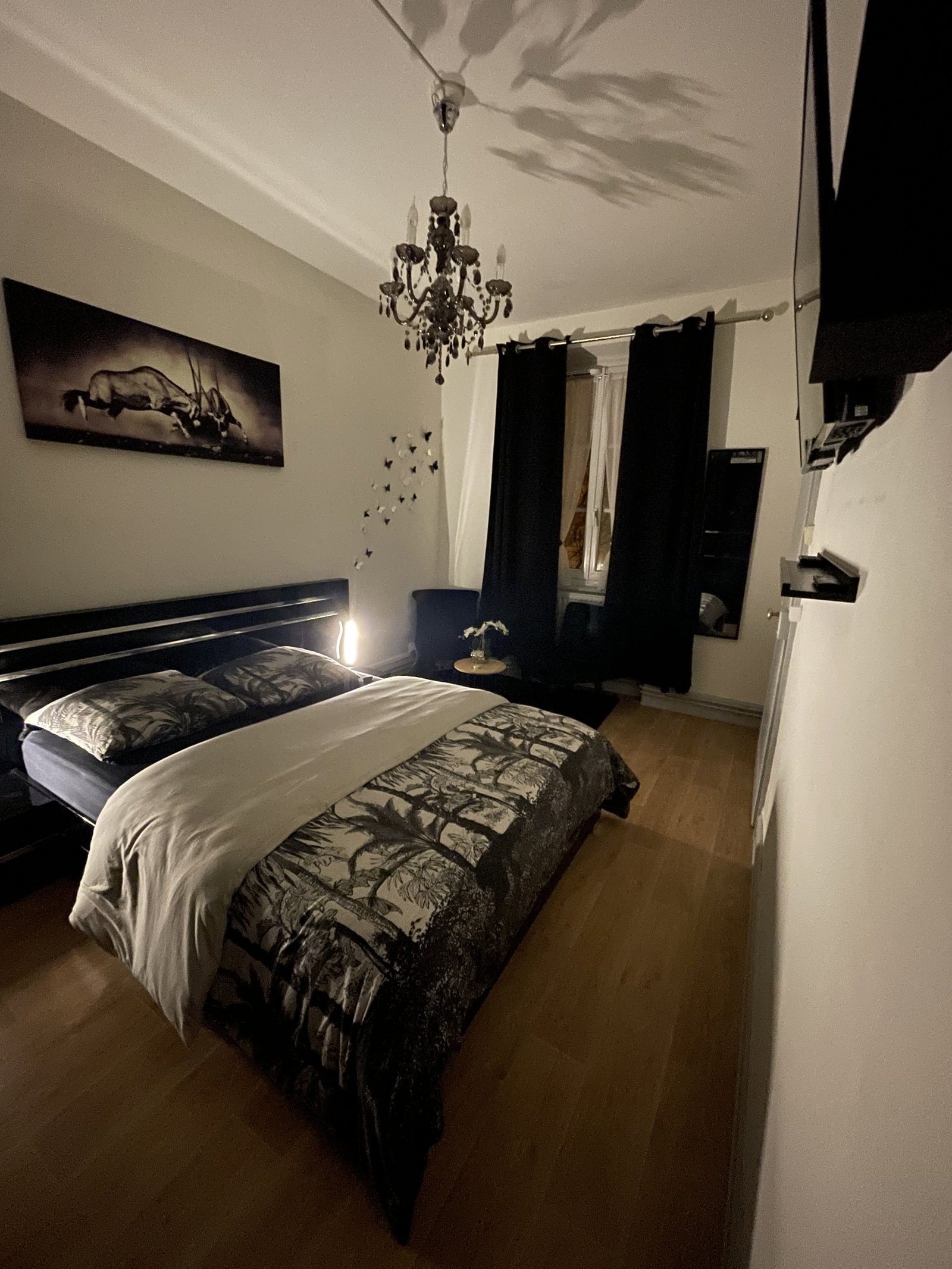 Colocation Strasbourg 246725