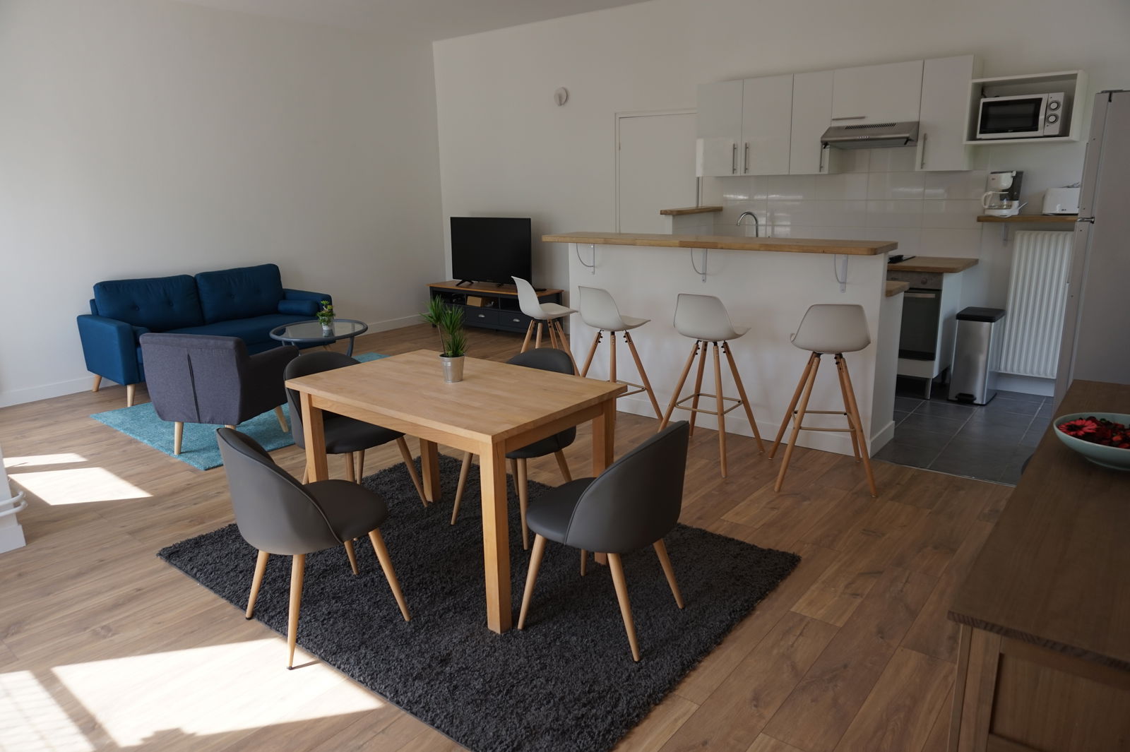 Colocation Nanterre 223461