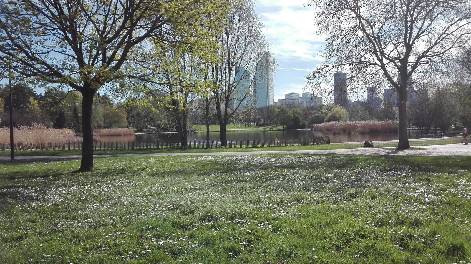 Colocation Nanterre 223461