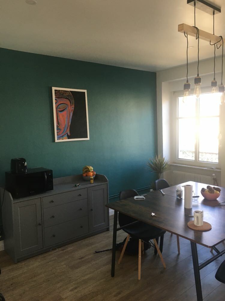 Colocation Mulhouse 246734