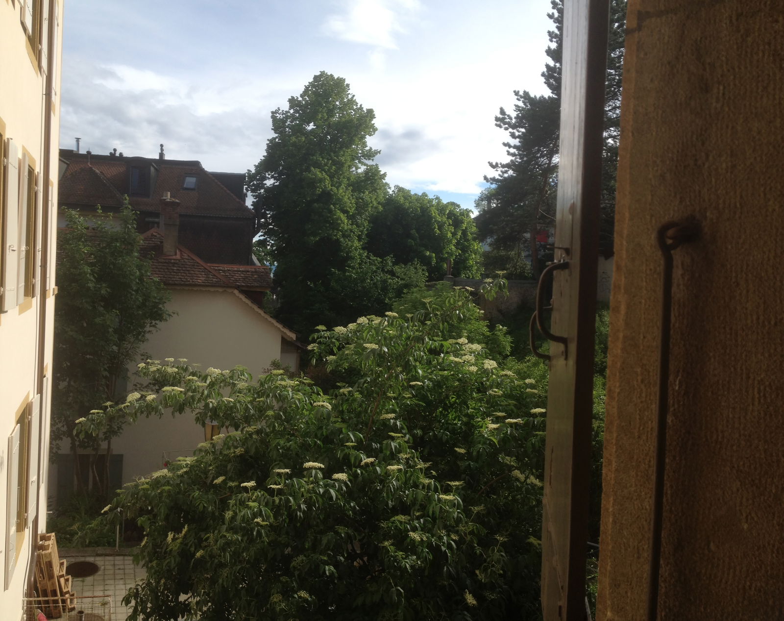 Colocation Neuchâtel 136189