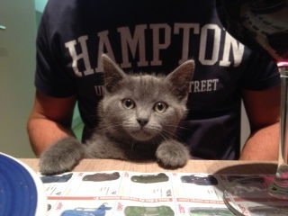 Colocation Crainhem 80197