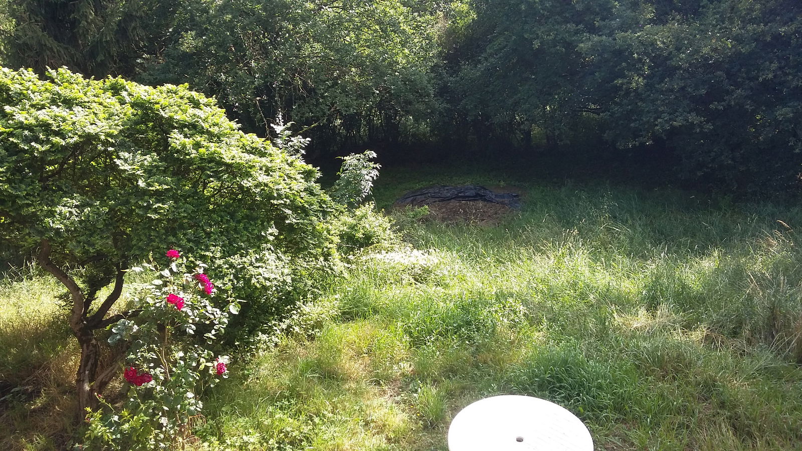 Colocation La Tour-de-Salvagny 138409