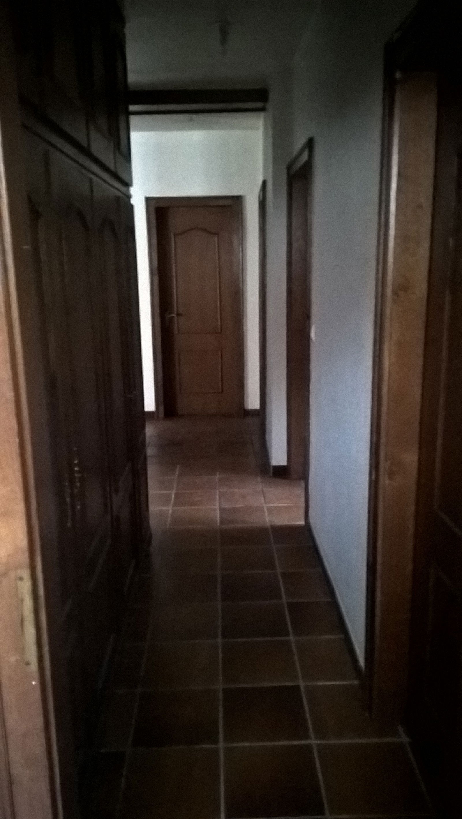 Colocation Schiltigheim 148556