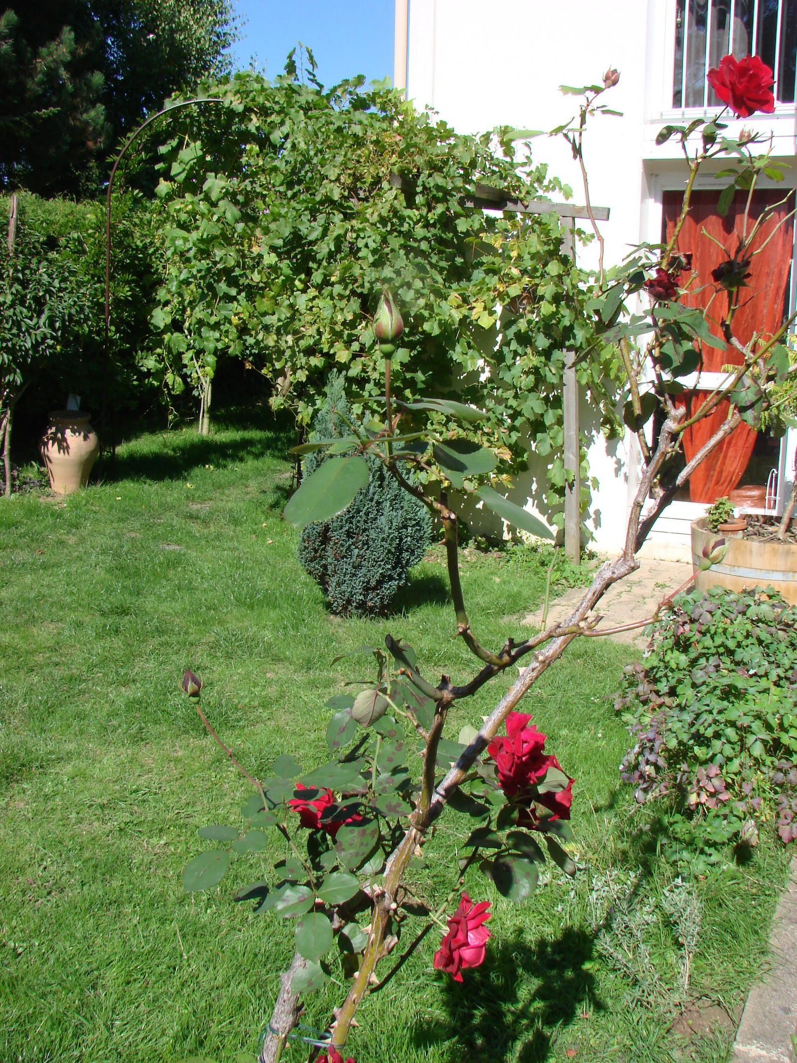 Colocation Émerainville 80886