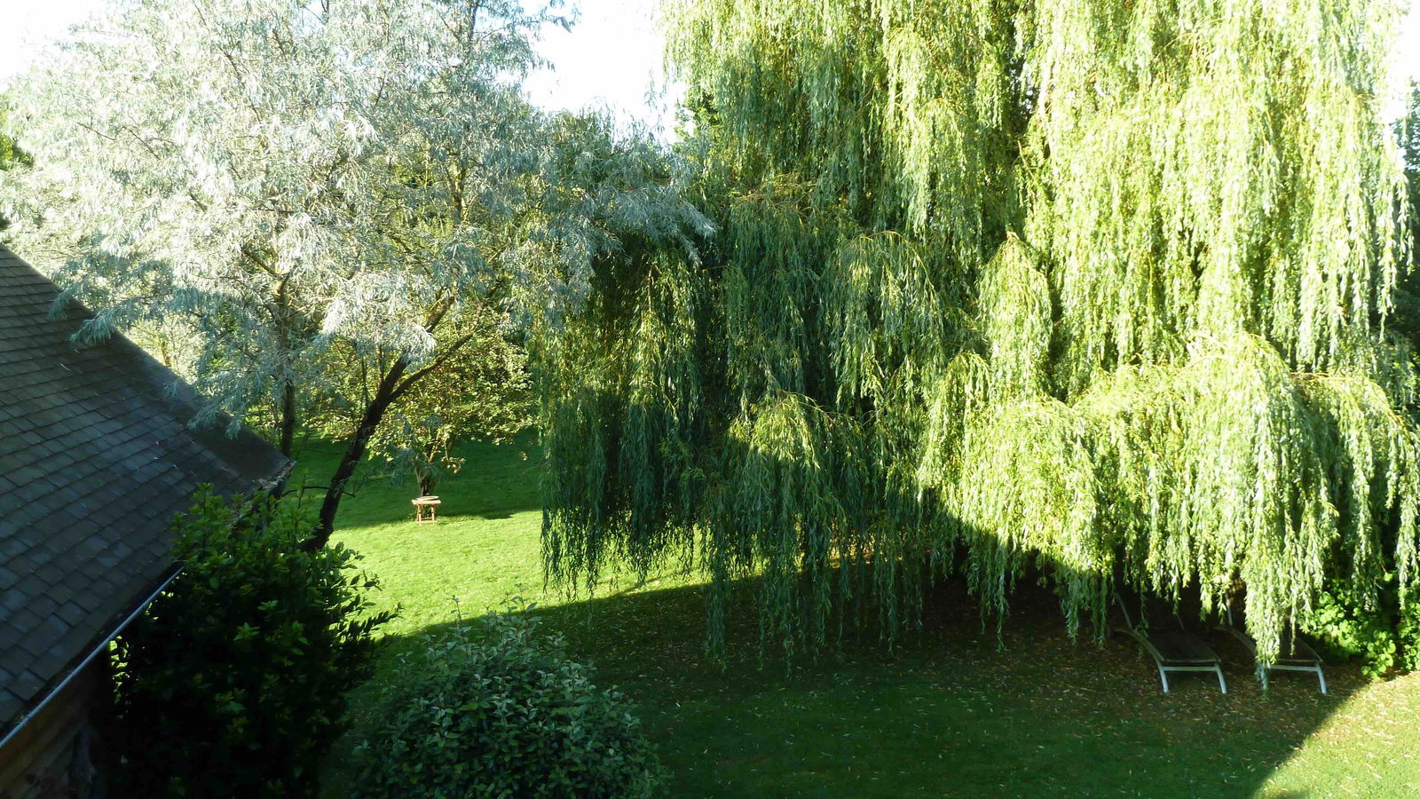 Colocation Rouillon 109080