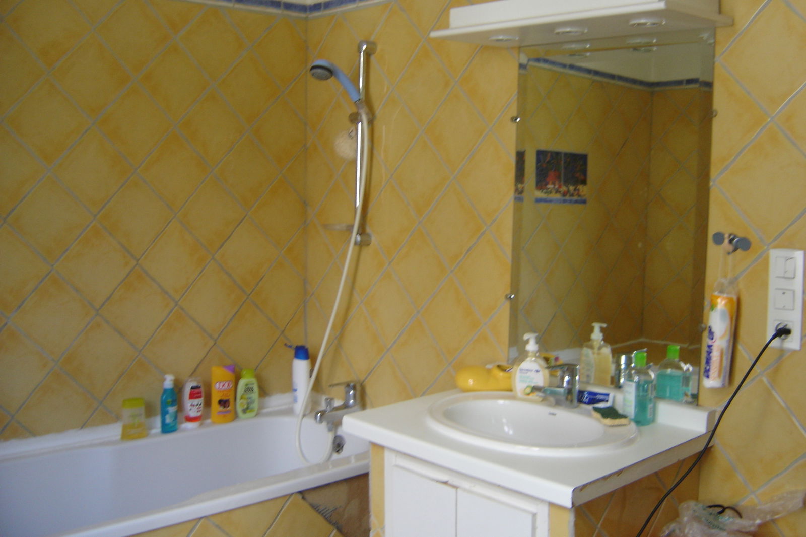Homestay Grenoble 257358