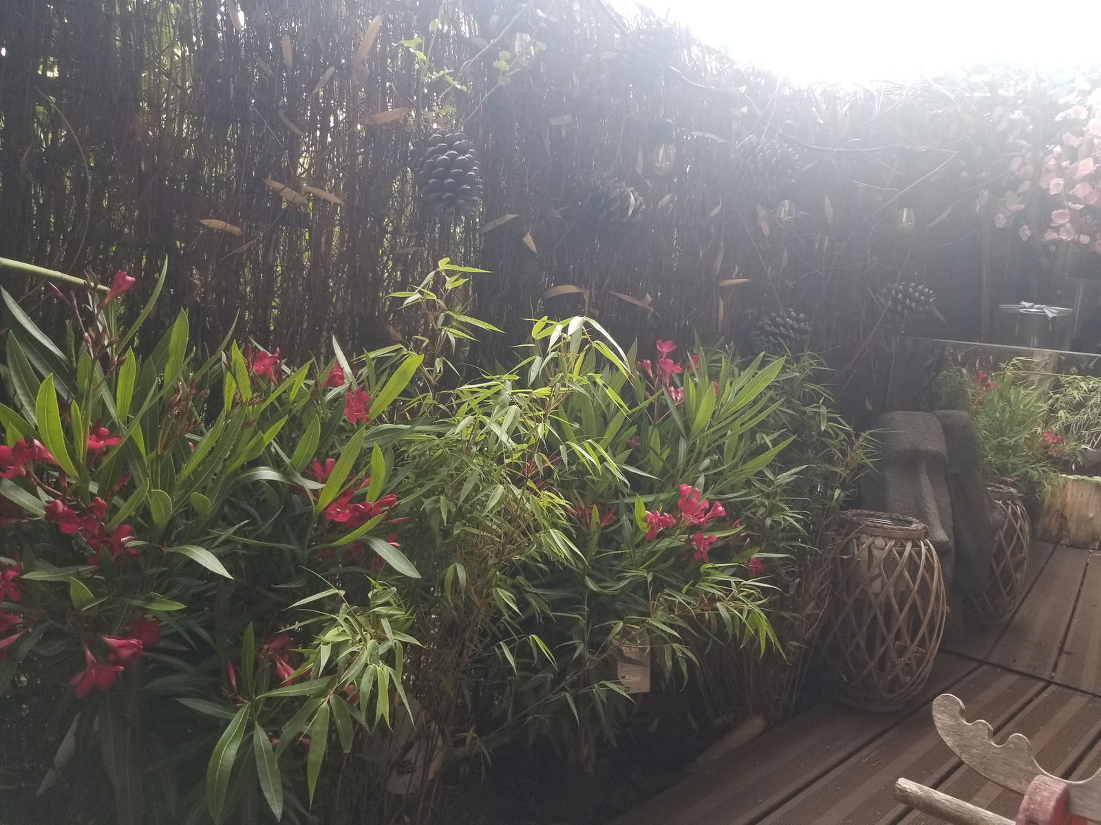 Kolokation Bordeaux 267016