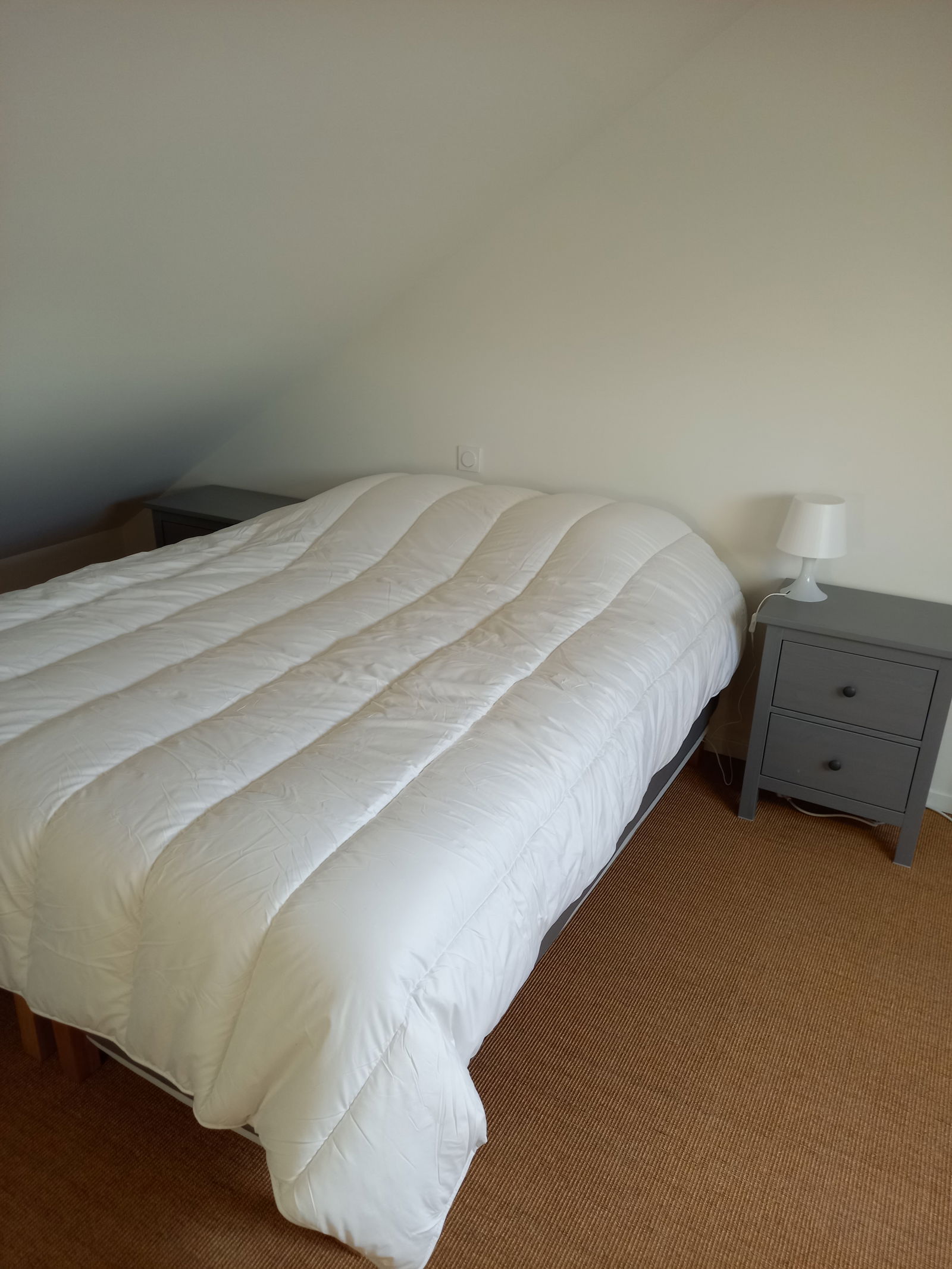 Kolokation Haute-Goulaine 256471