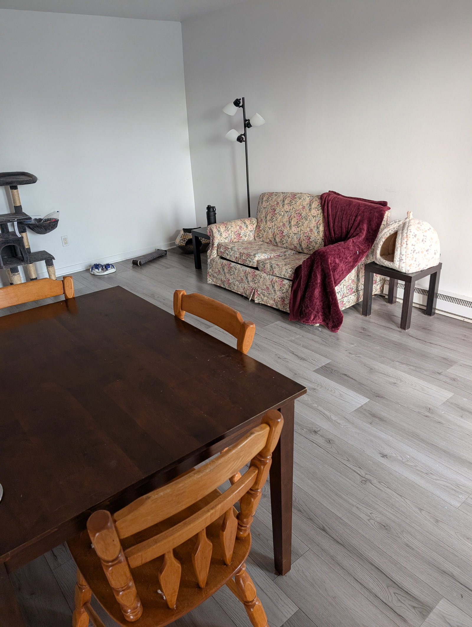 Colocation Lévis 593116