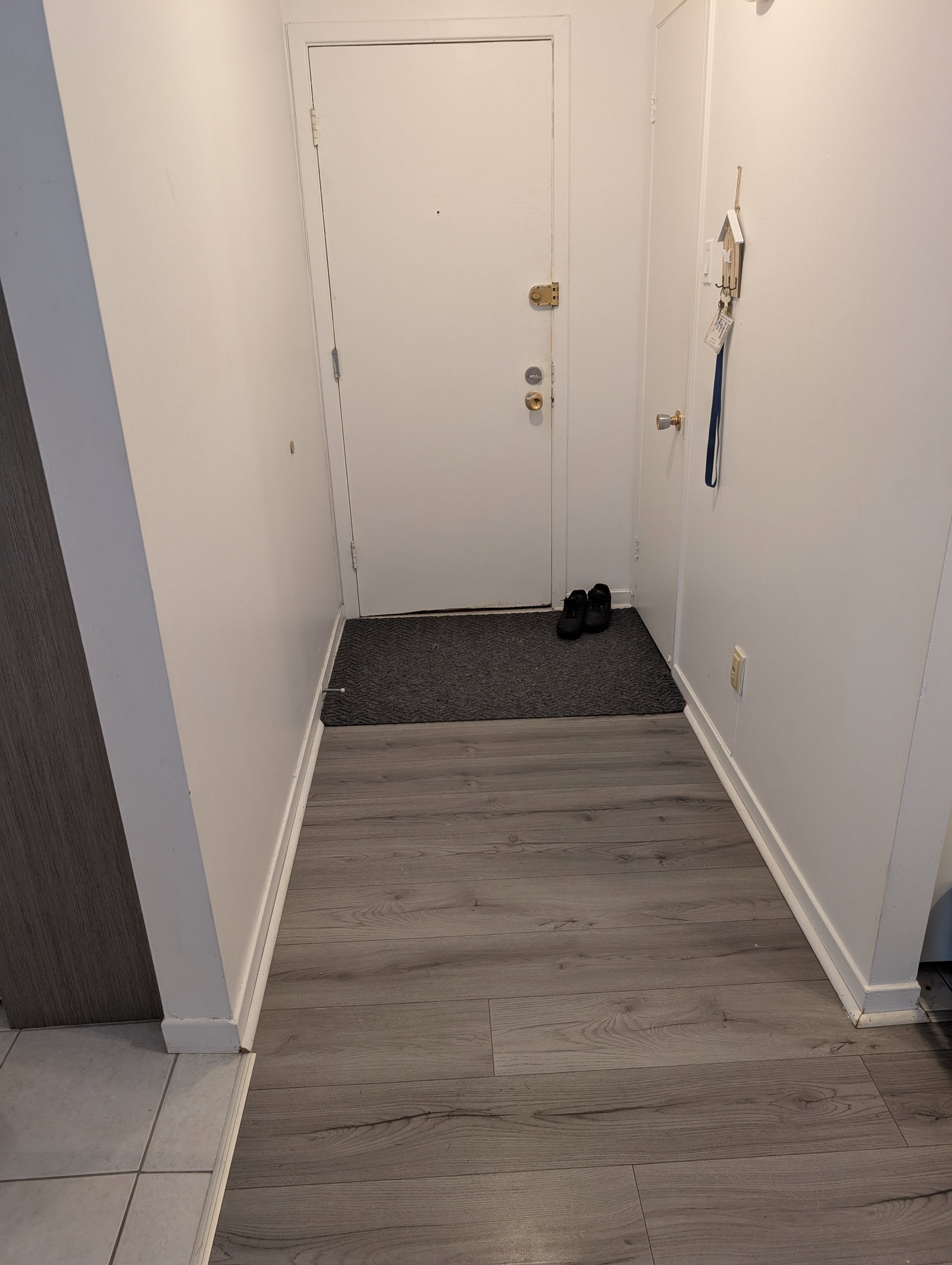 Colocation Lévis 593116