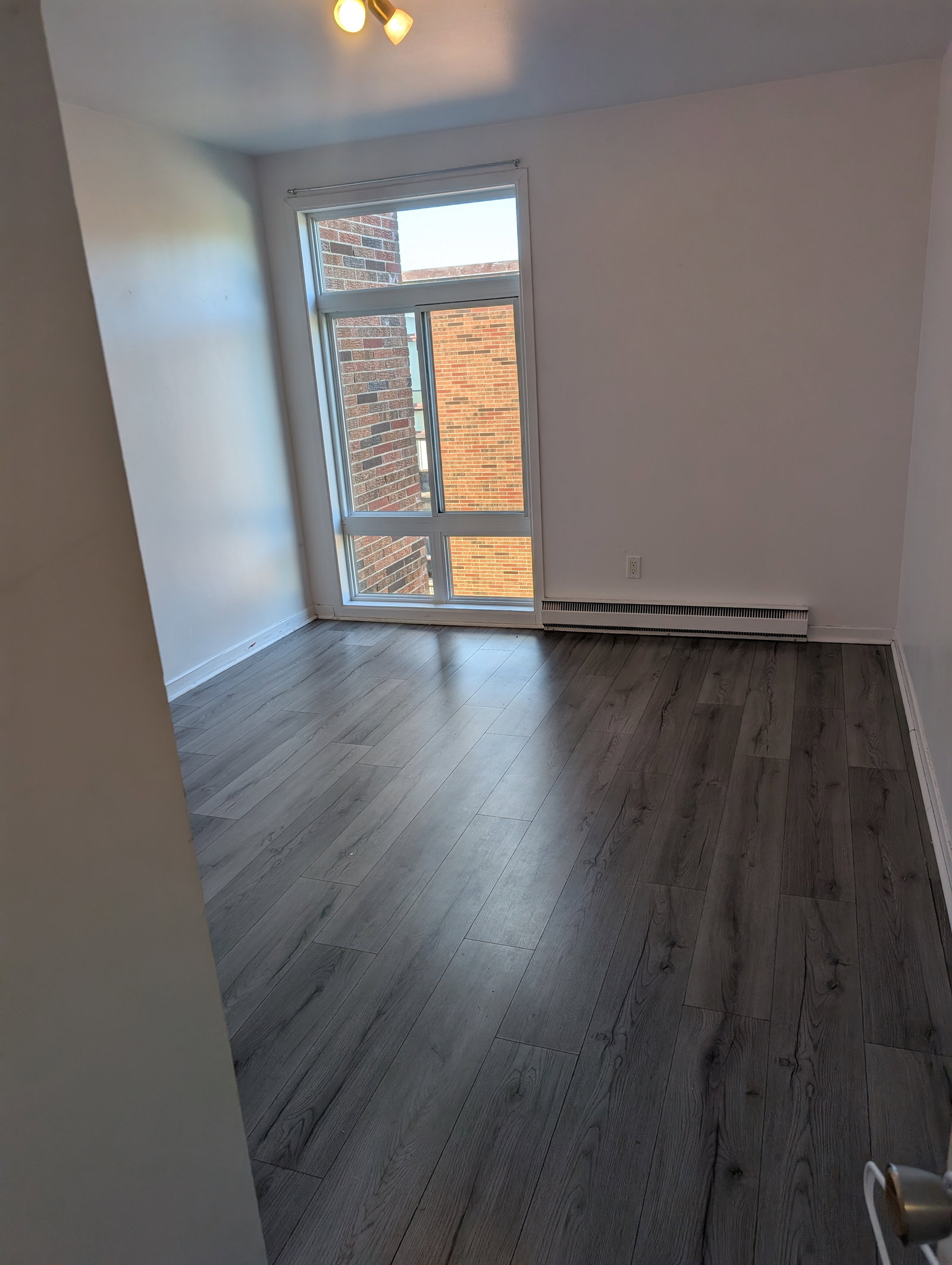 Colocation Lévis 593116