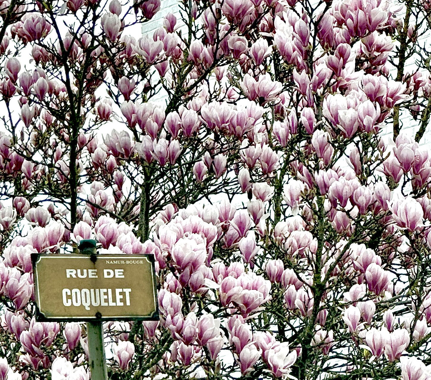 Gastfamilie Namur 370469