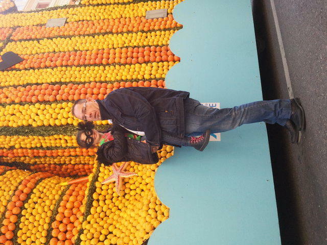 Kolokation Le Pontet 53545