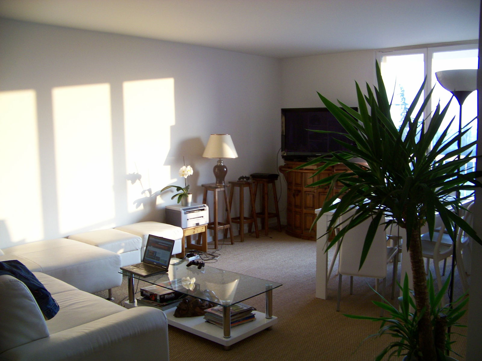 Kolokation Chilly-Mazarin 100079