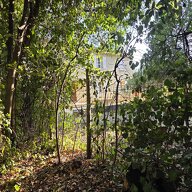 Kolokation Sabran 657249