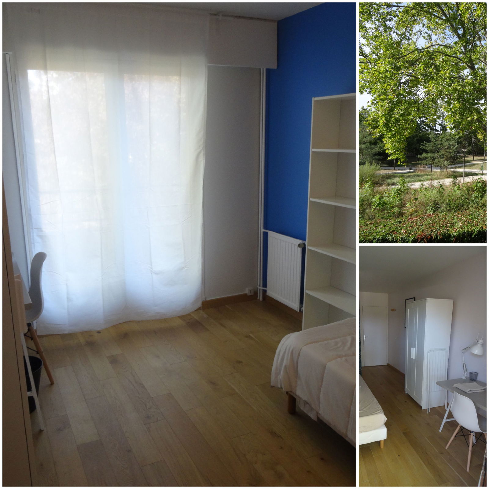 Kolokation Cergy 552764