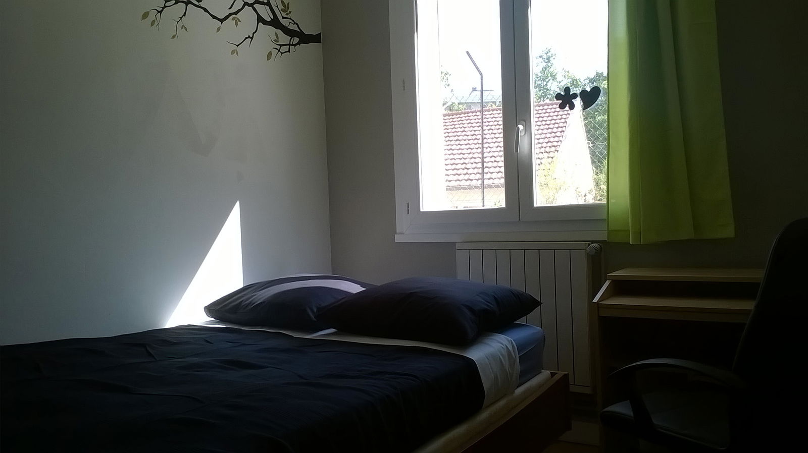 Colocatie Lyon 108800