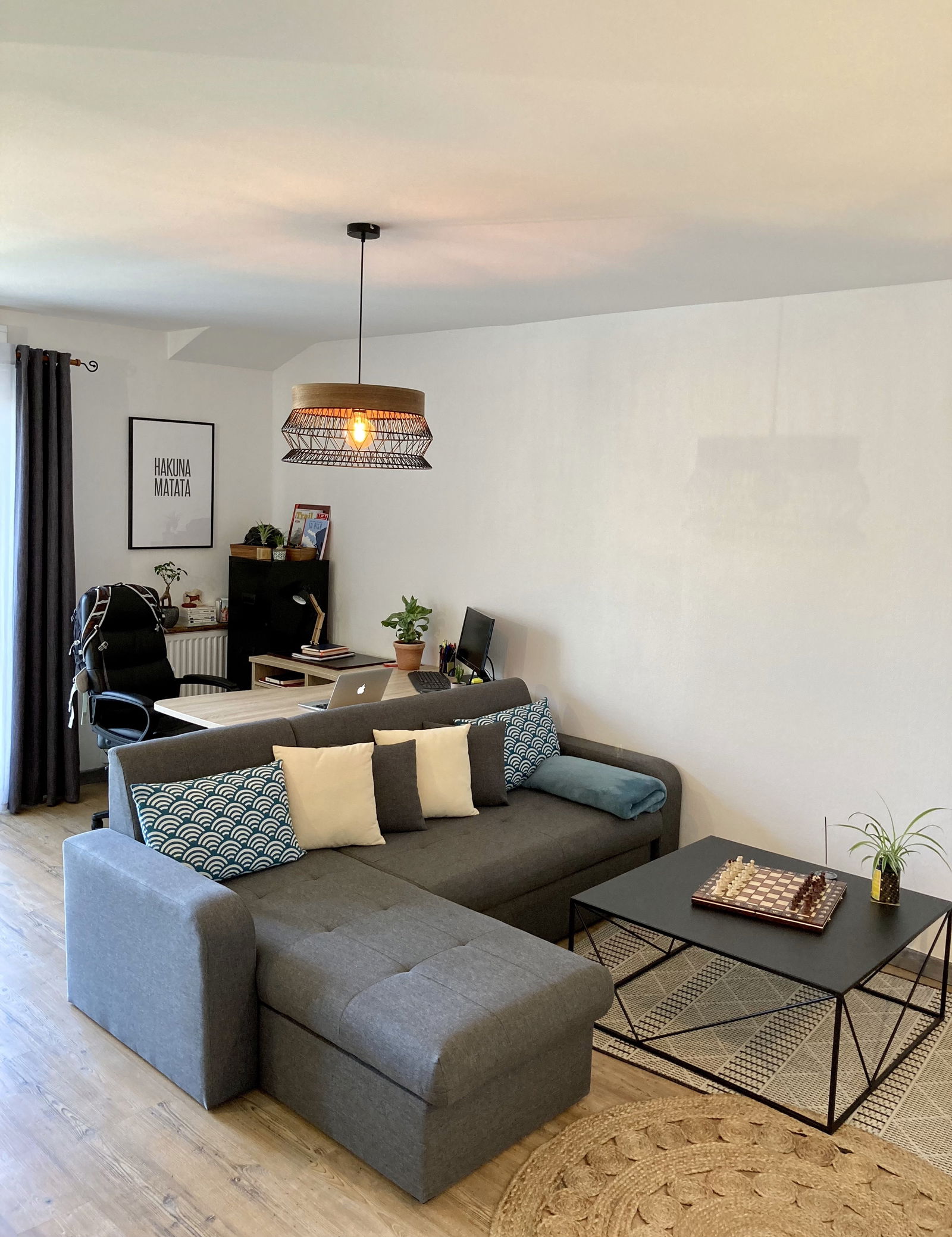 Colocatie Angers 224498