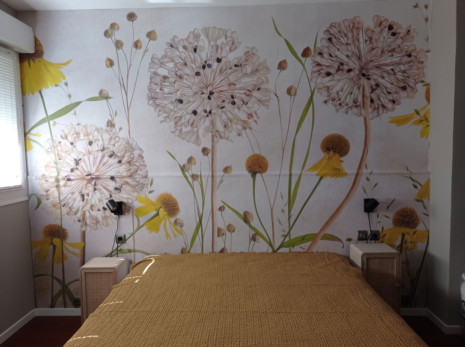 Kolokasie Montargis 259654