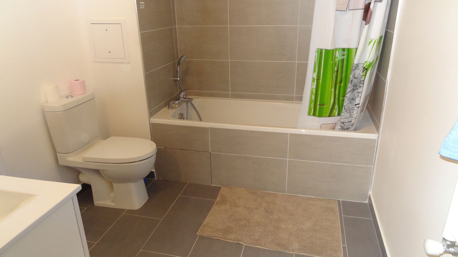 Kolokasie Noisy-le-Grand 131155