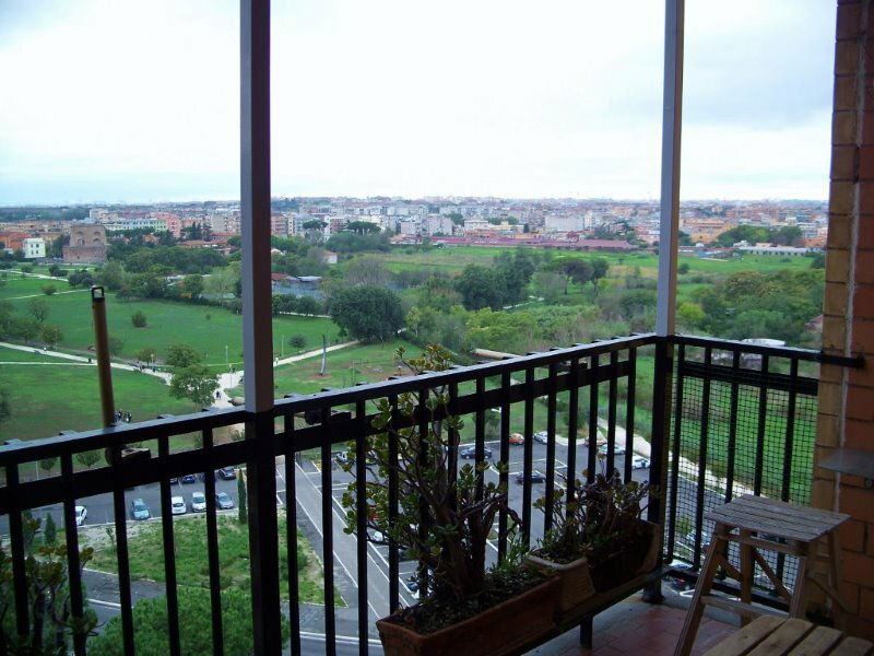 Kolokasie Roma 148274