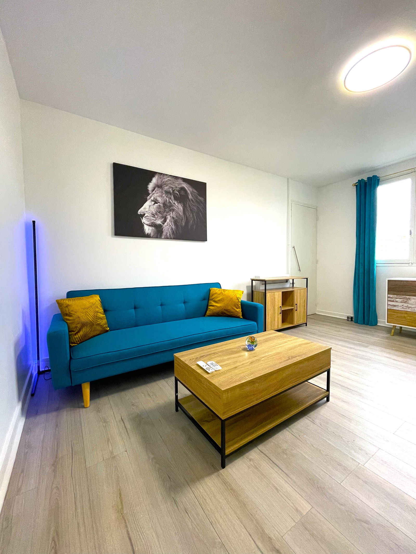 Gastgezin Villeurbanne 371161