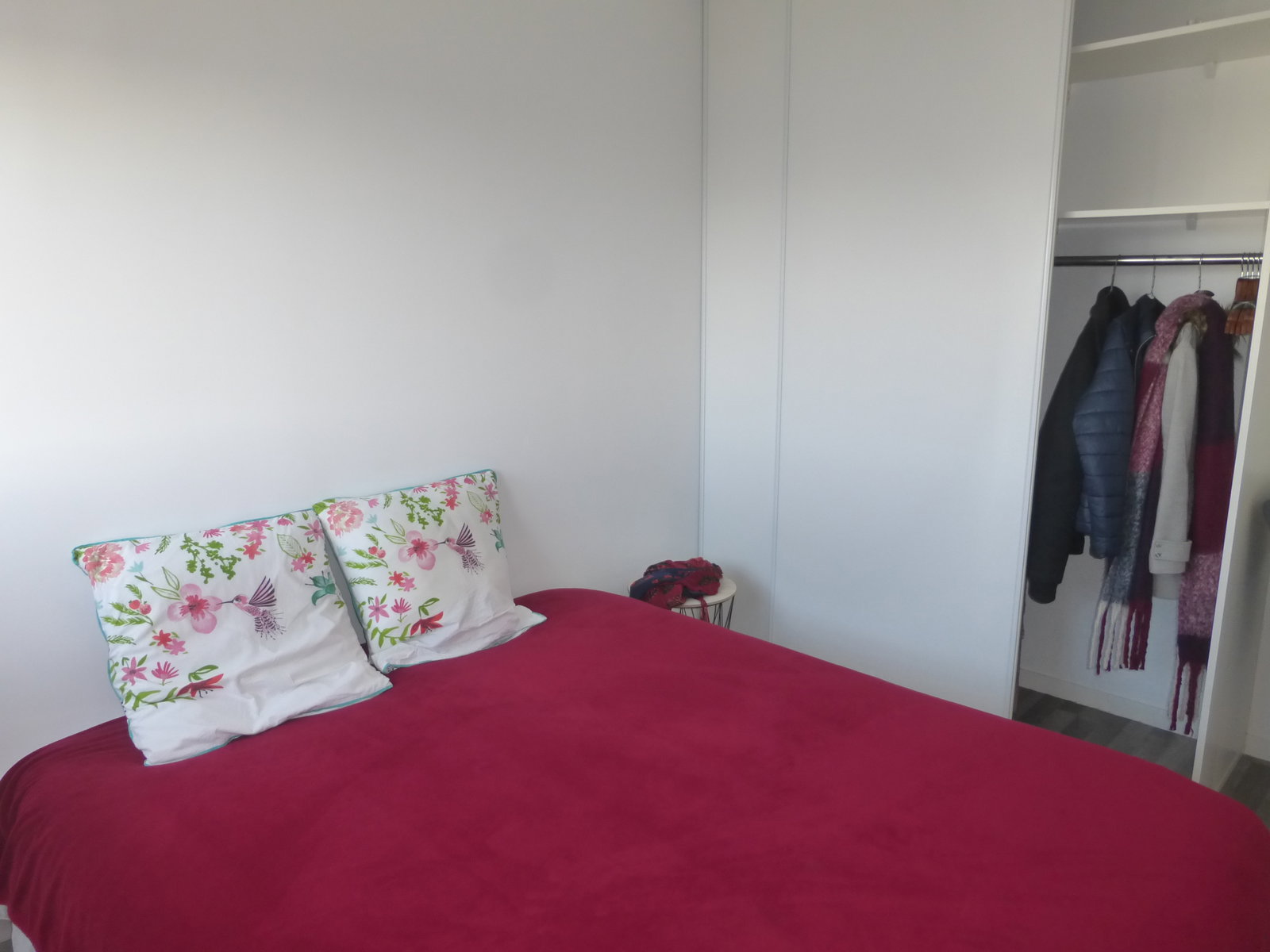 Kolokasie Nantes 515809