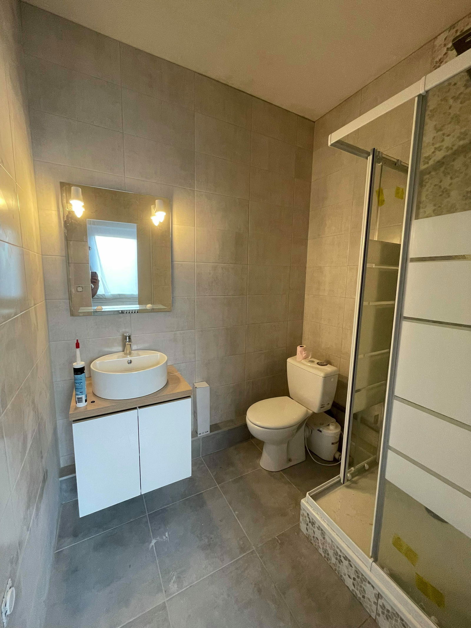 Kolokasie Saint-Étienne 252641