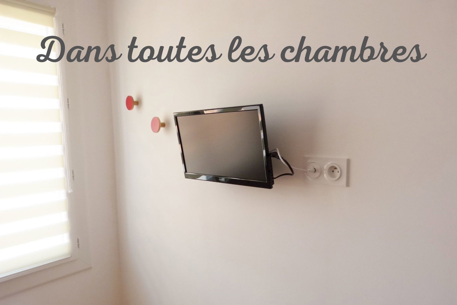 Kolokasie Perpignan 438643