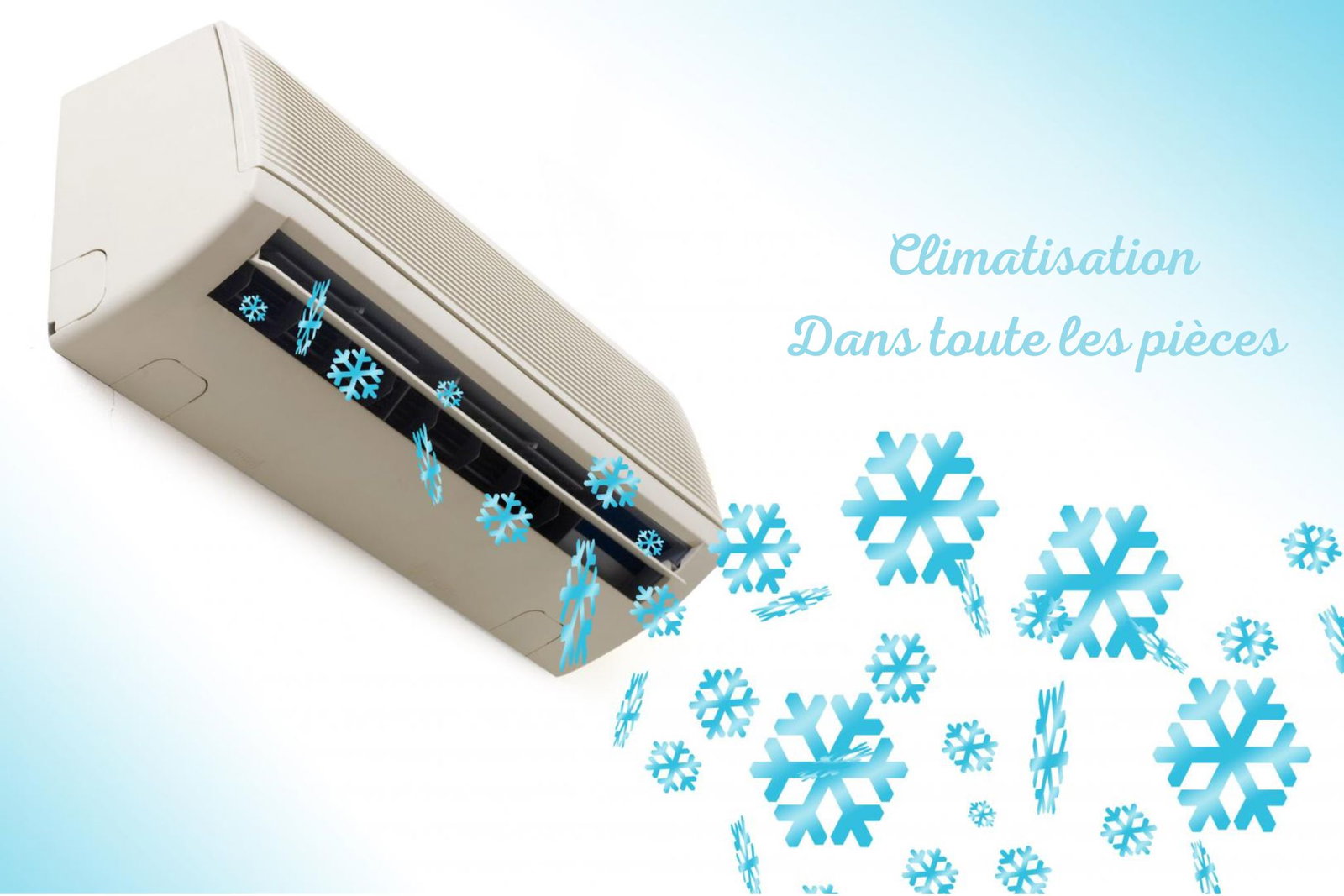 Kolokasie Perpignan 439805