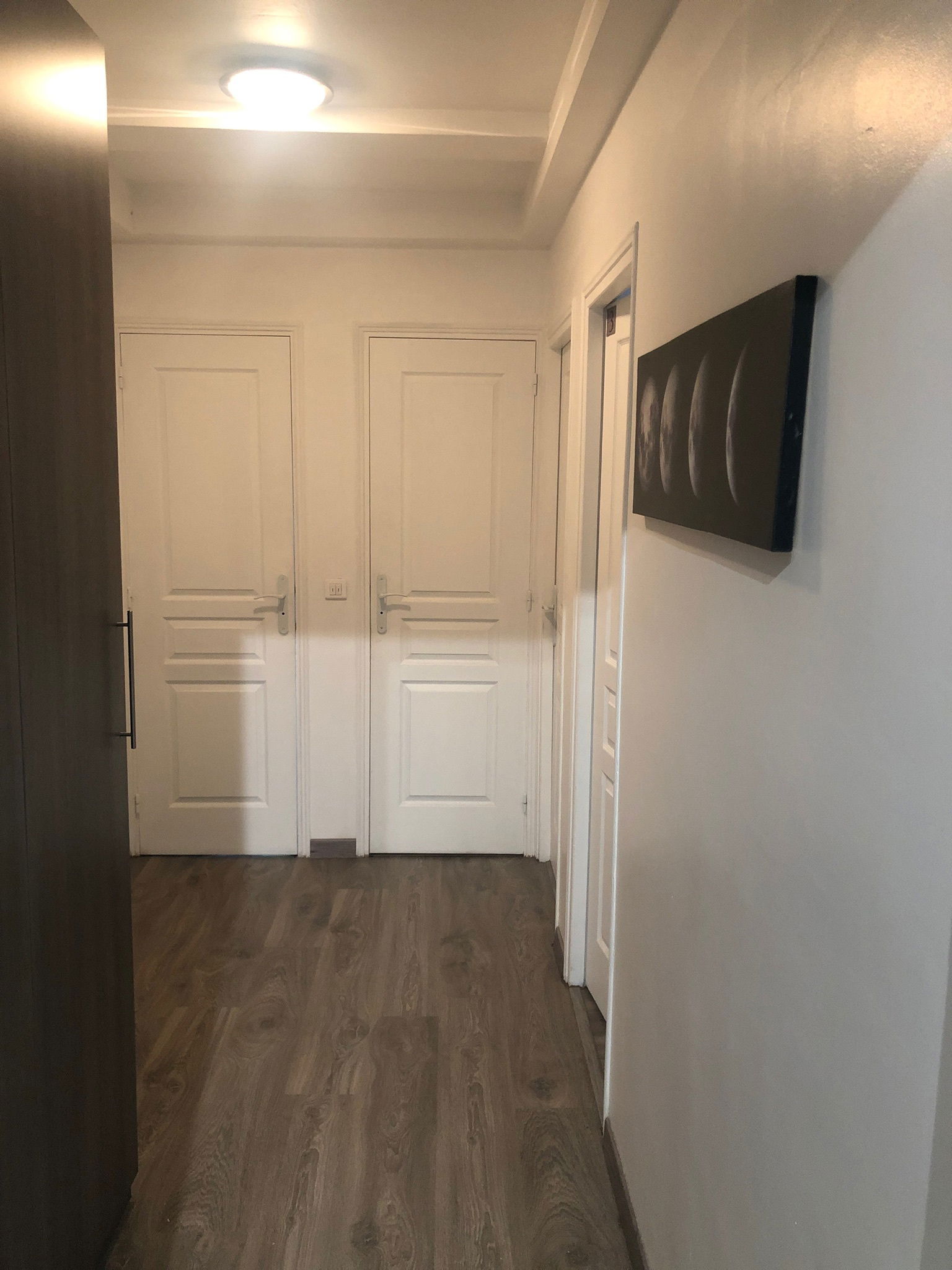 Kolokasie Viry-Châtillon 246517