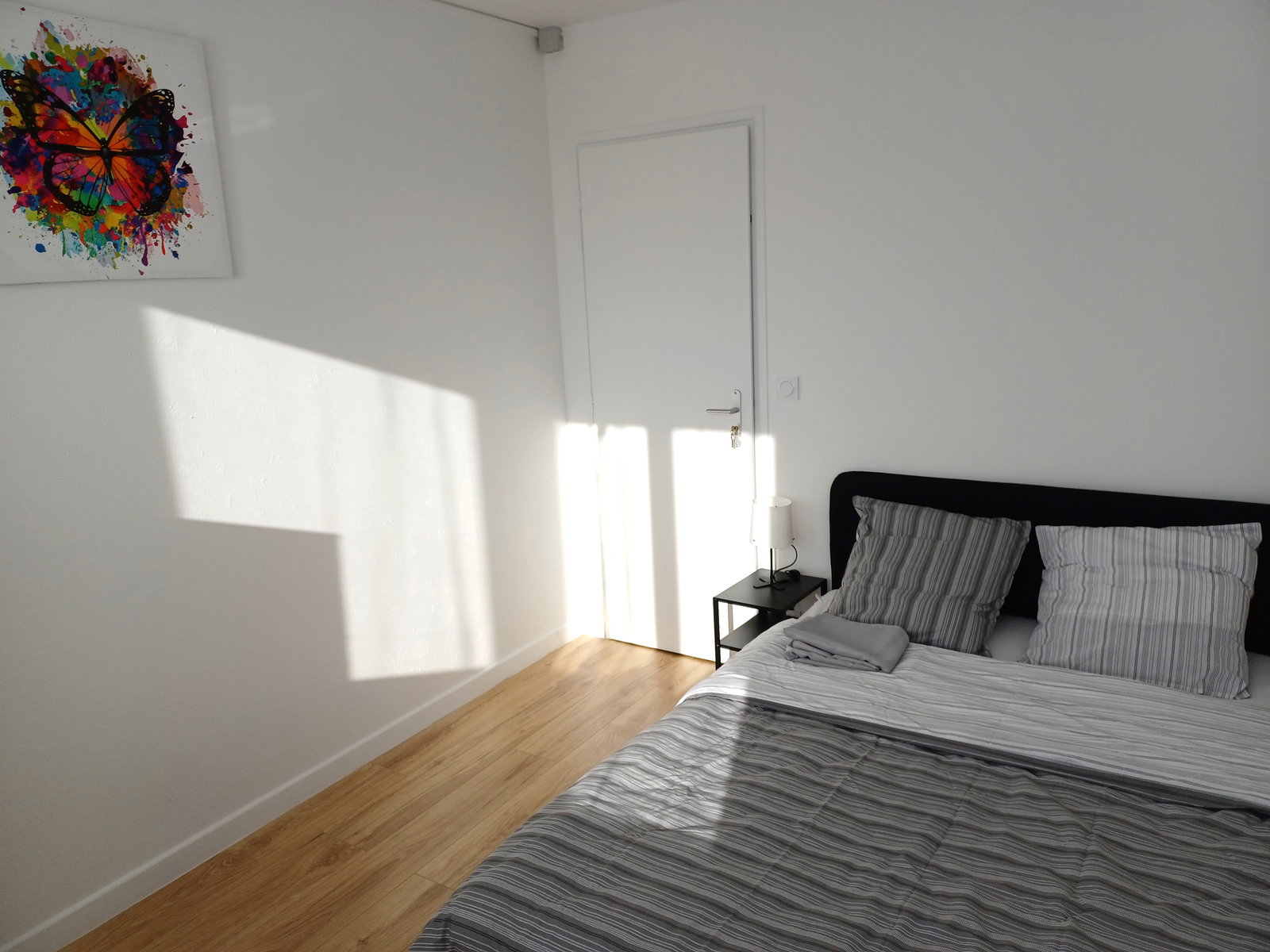 Kolokasie Sainte-Geneviève-des-Bois 472623