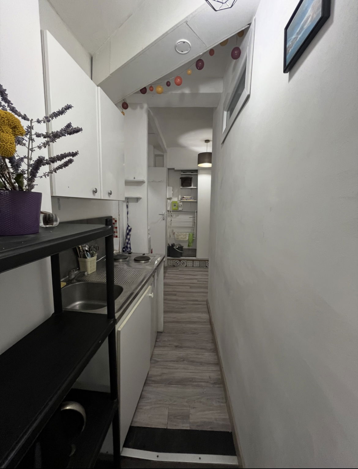 Colocatie Lyon 530499