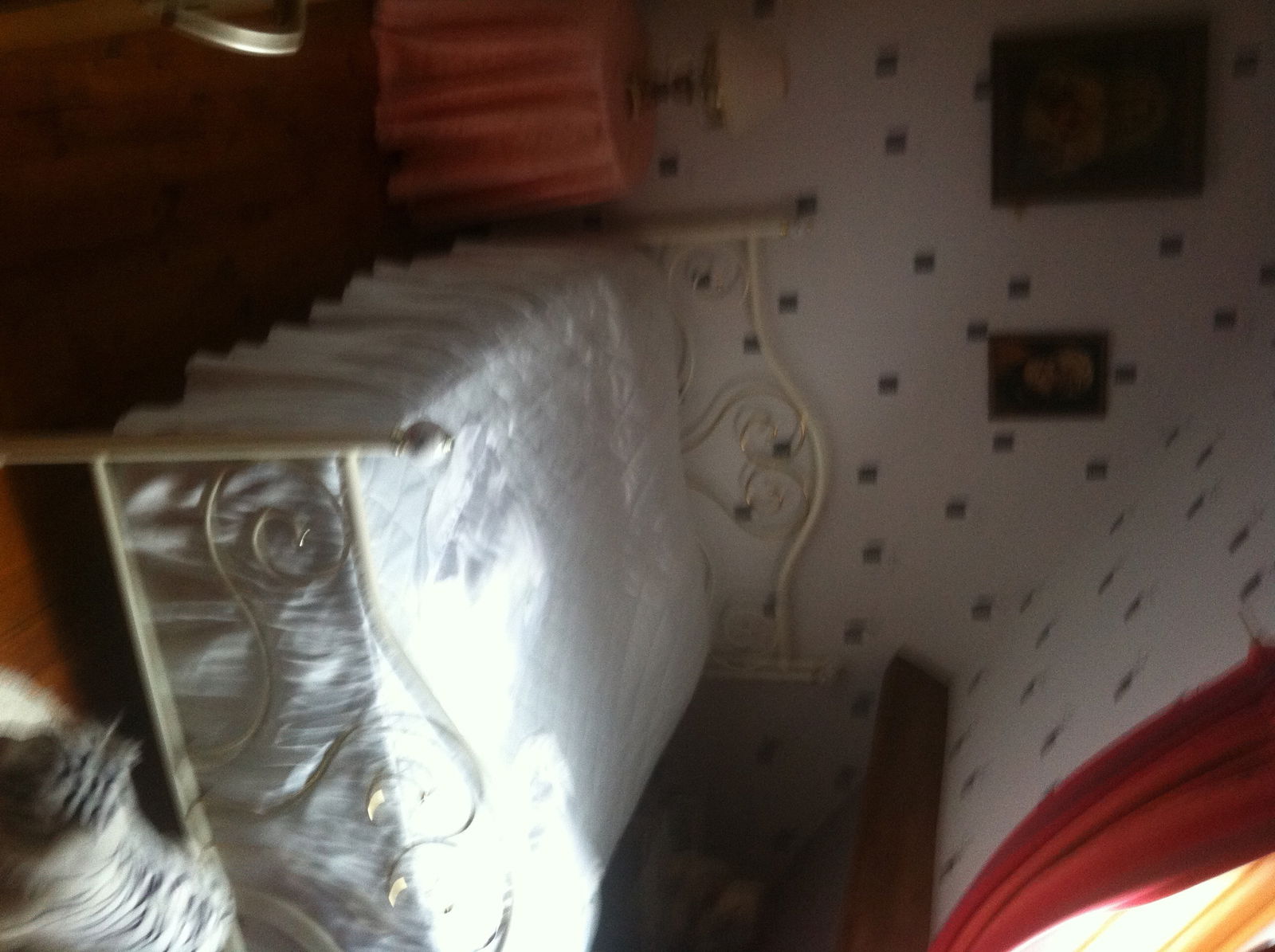 Colocatie Coulogne 164067