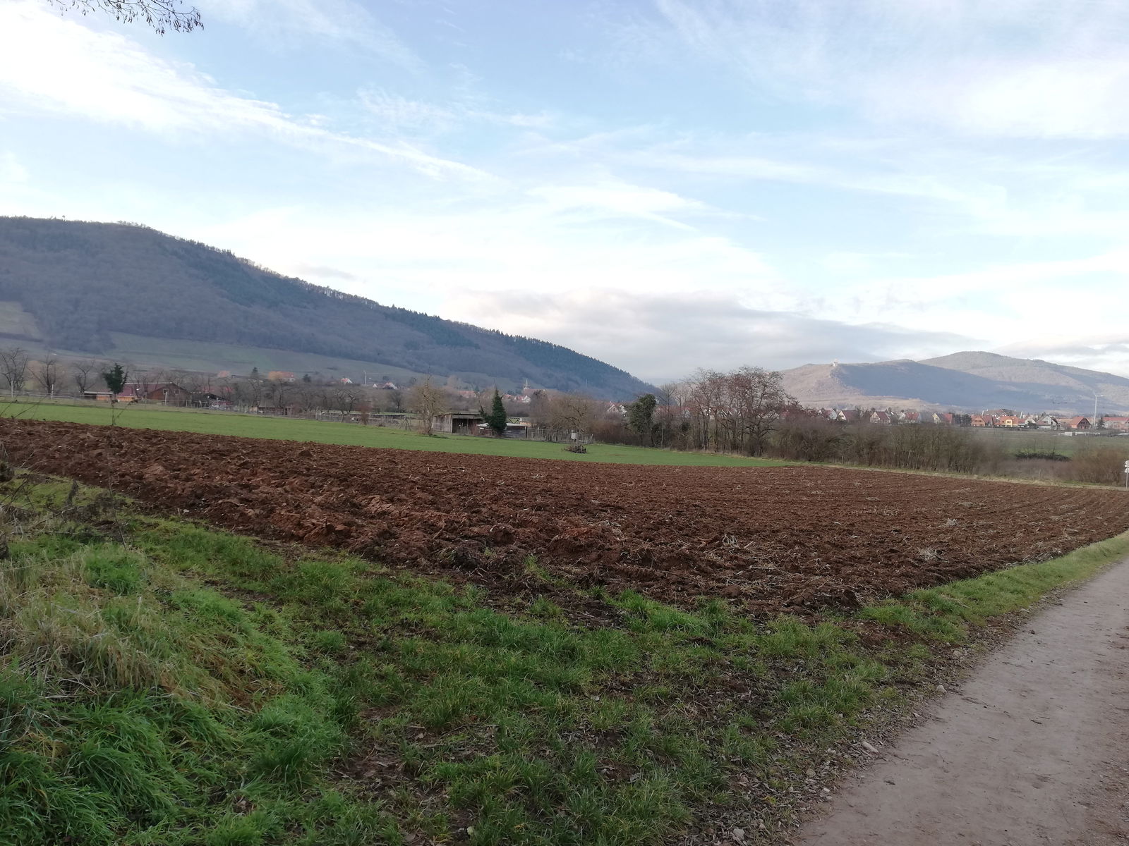 Colocatie Châtenois 249655