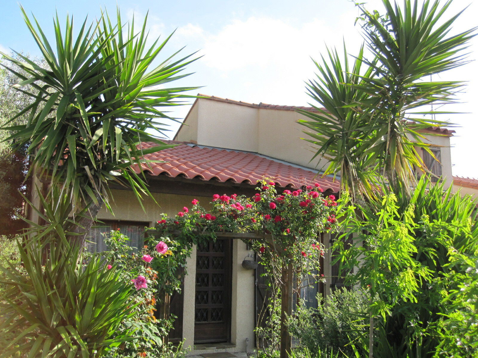 Colocatie Perpignan 123310