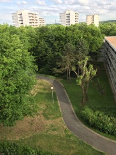 Colocatie Tremblay-en-France 169305