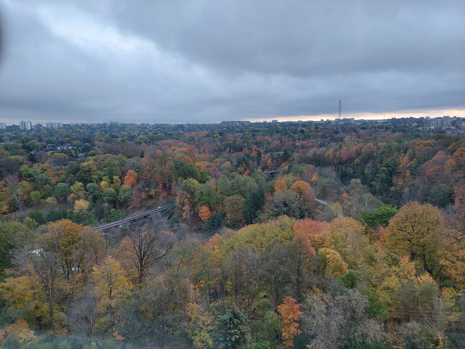 Gastgezin Toronto 257496