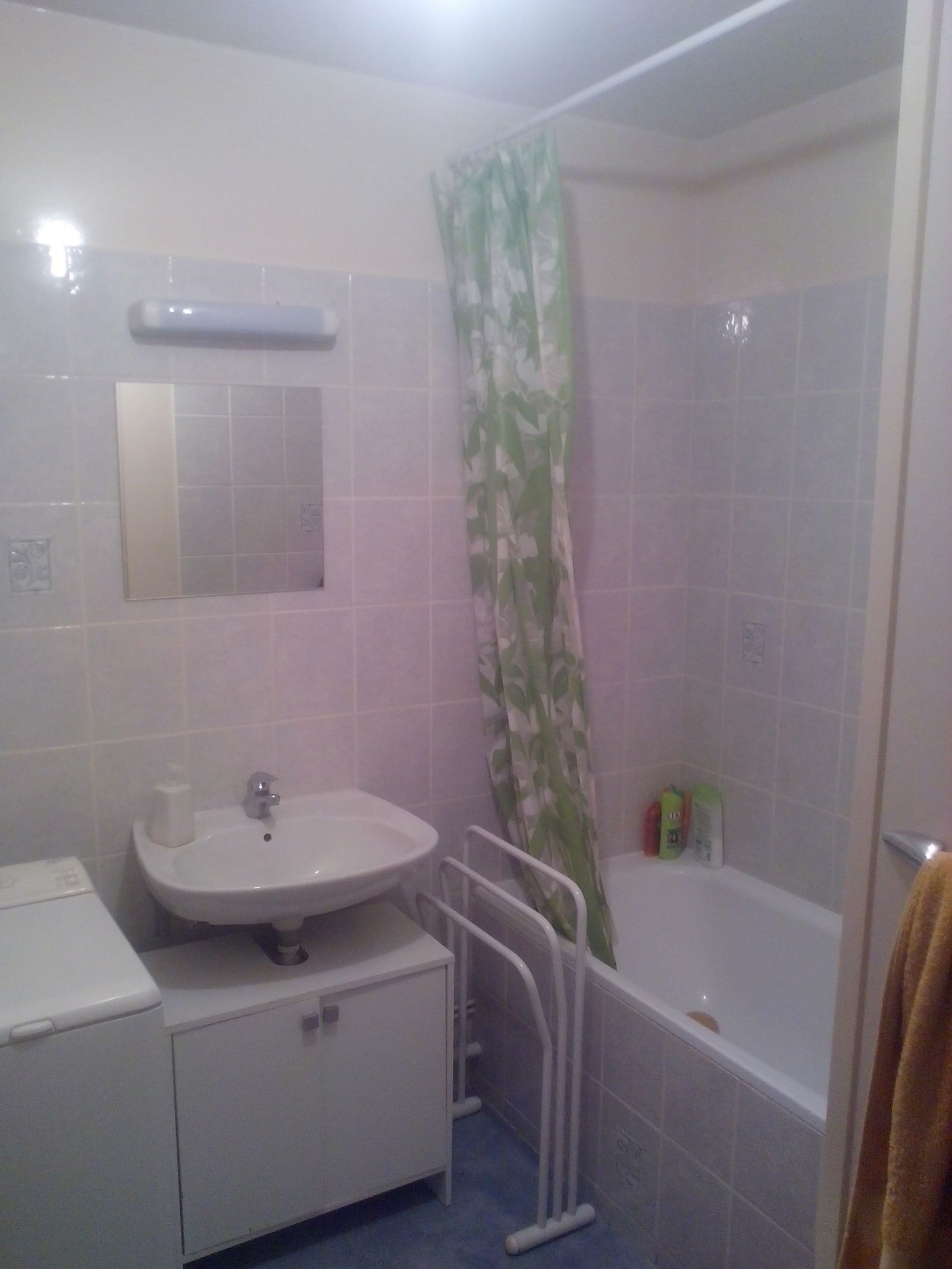 Colocatie Le Mans 111859