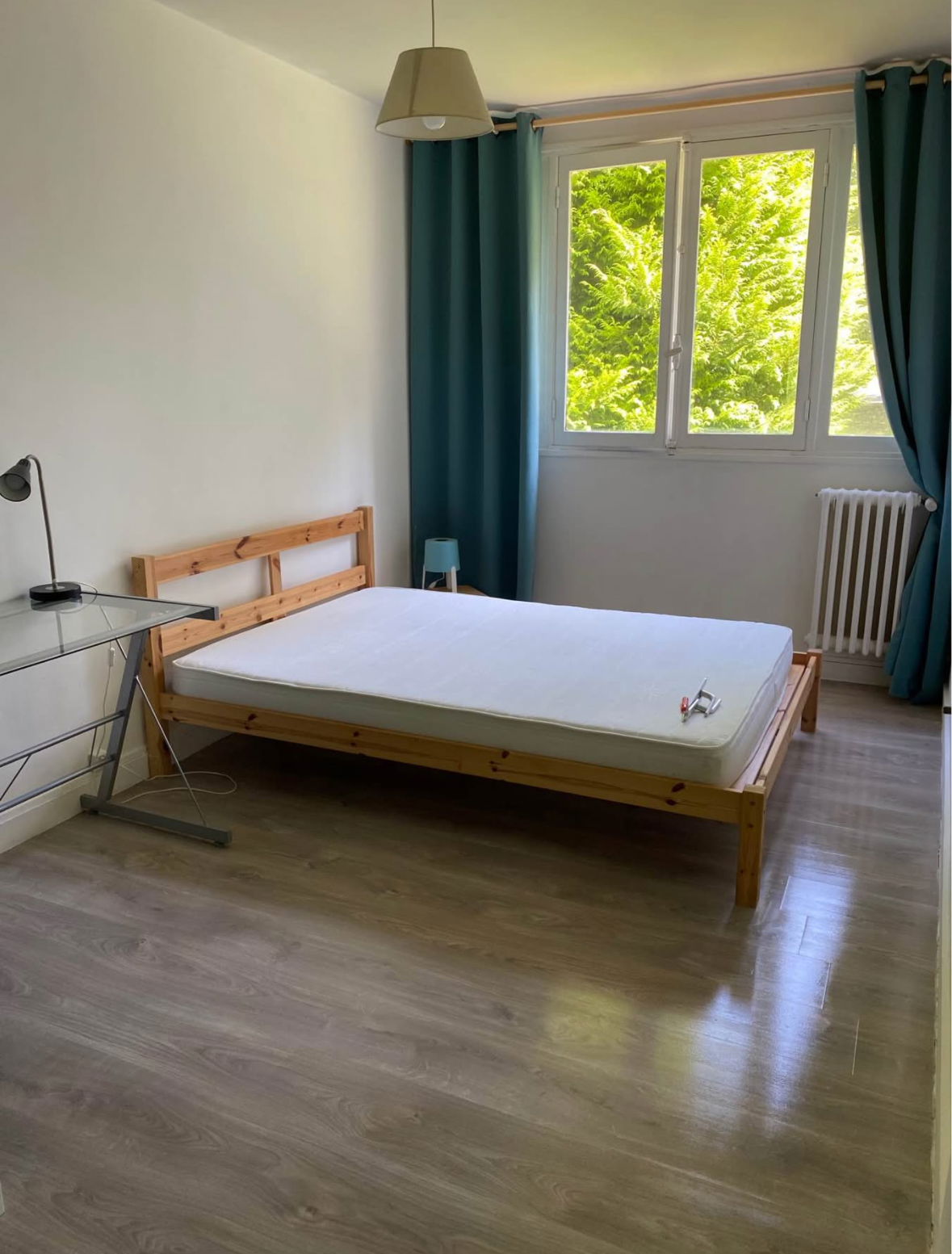 Kolokasie Lannion 568767
