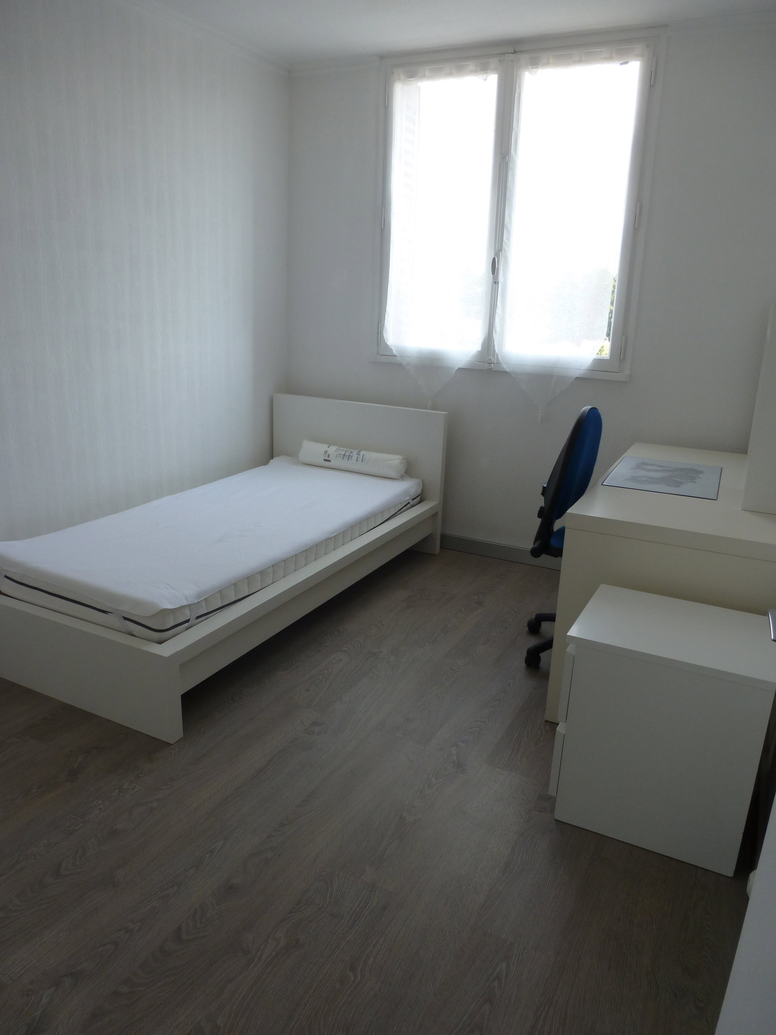 Kolokasie Saint-Martin-d'Hères 628862