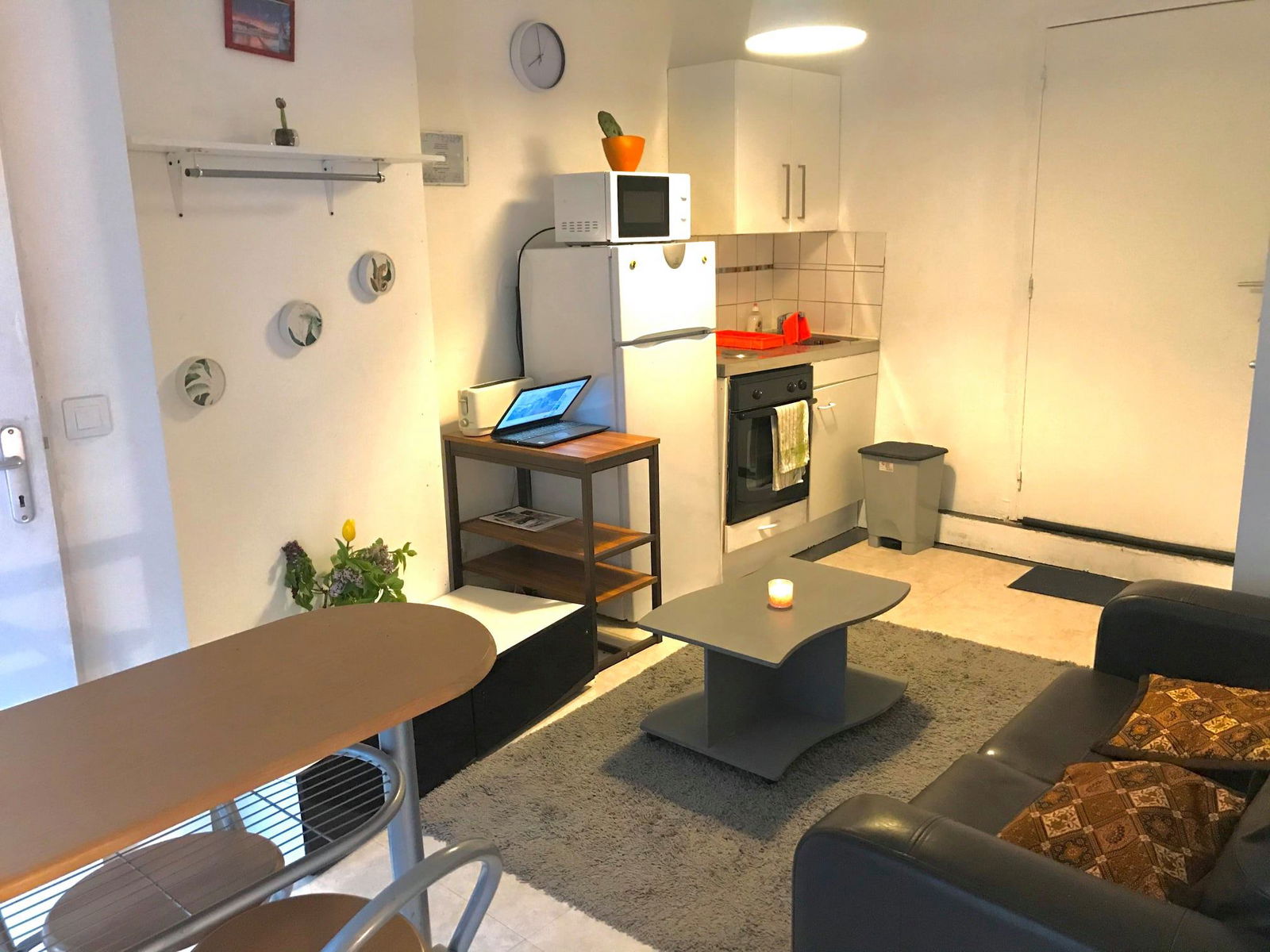 Colocatie Lyon 480920