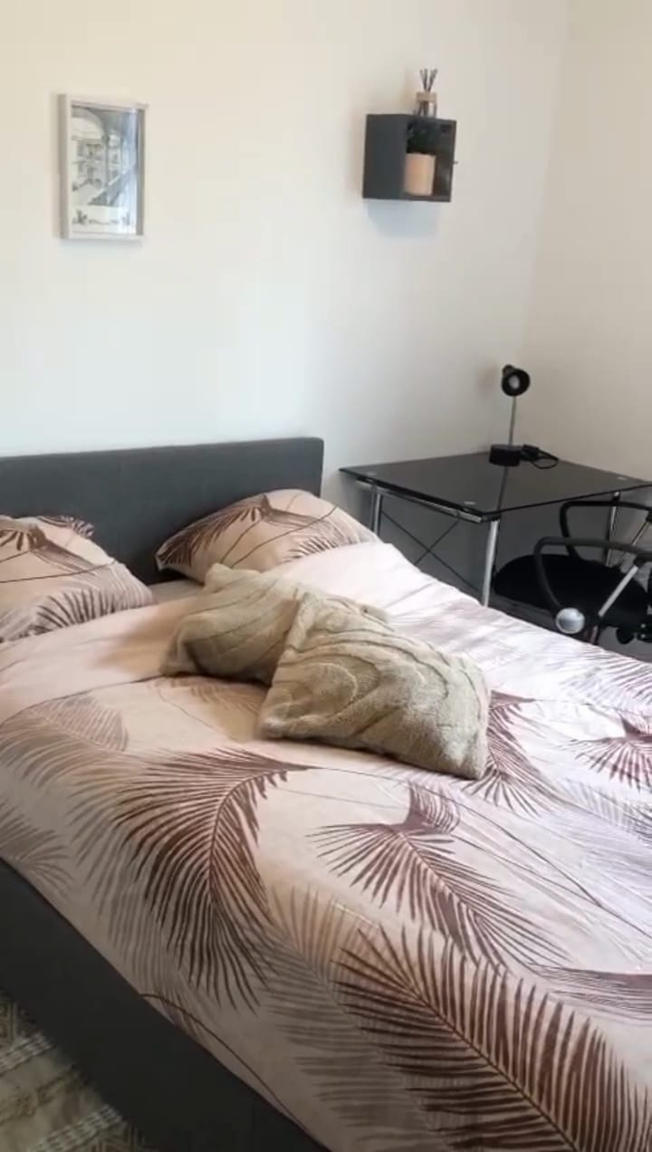 Colocatie Pessac 542030