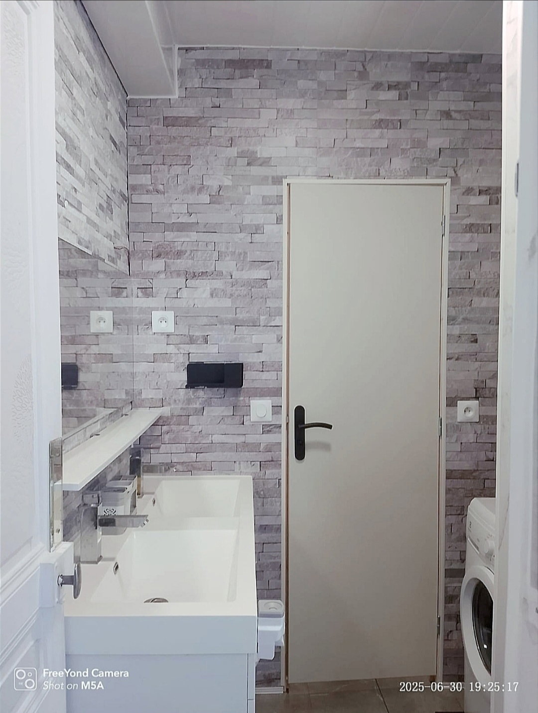 Kolokasie Argenteuil 662558