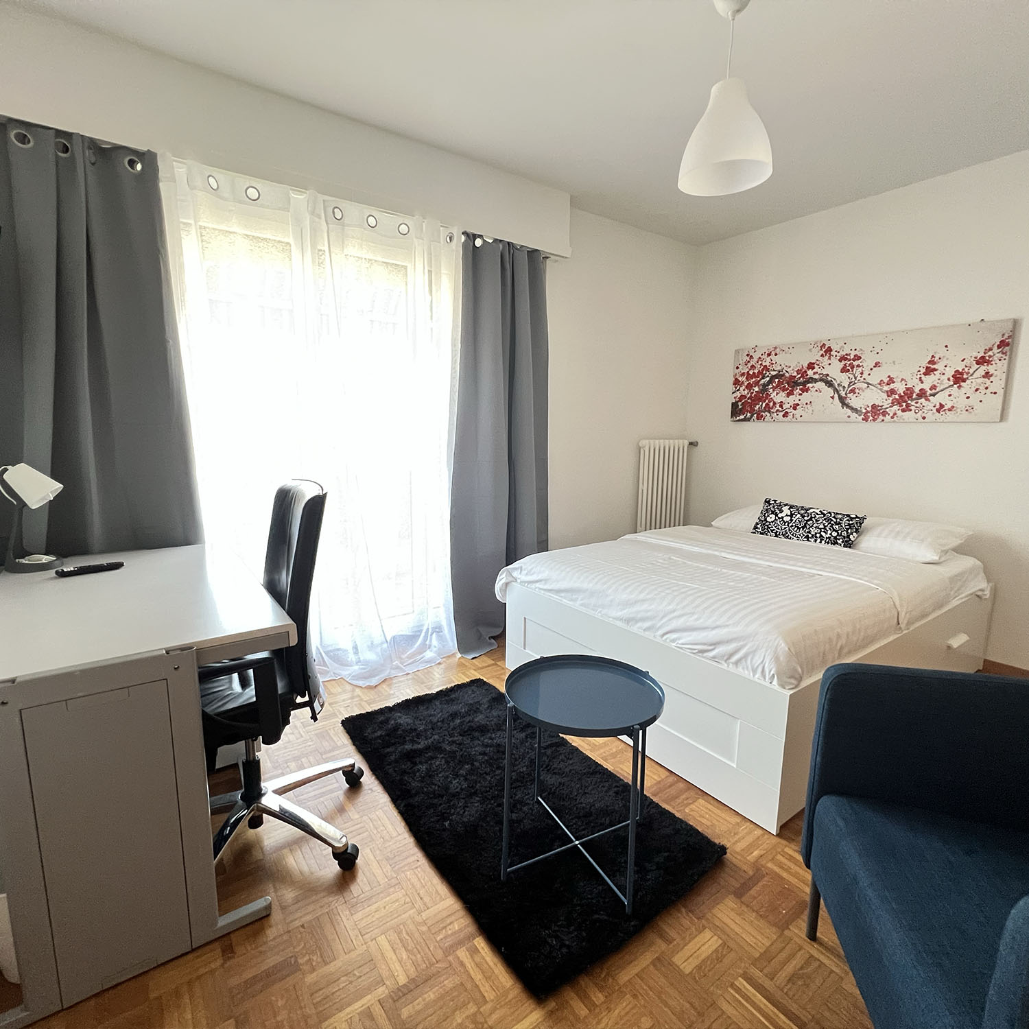 Colocatie Crissier 658706